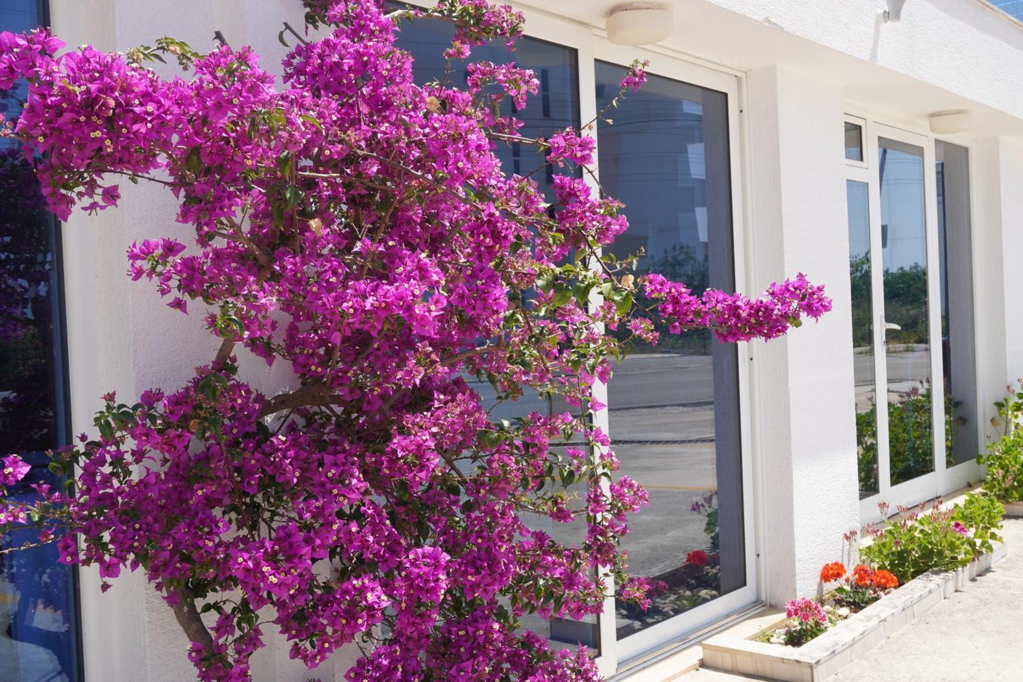 Hotel Agel Sarande Ngoại thất bức ảnh
